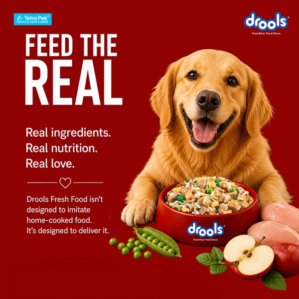 Drools Tetra Pack Real Chicken Veggies Dog Fresh Food