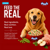 Drools Tetra Pak Real Chicken Veggies Dog Fresh Food Dogs-Fresh Food Drools