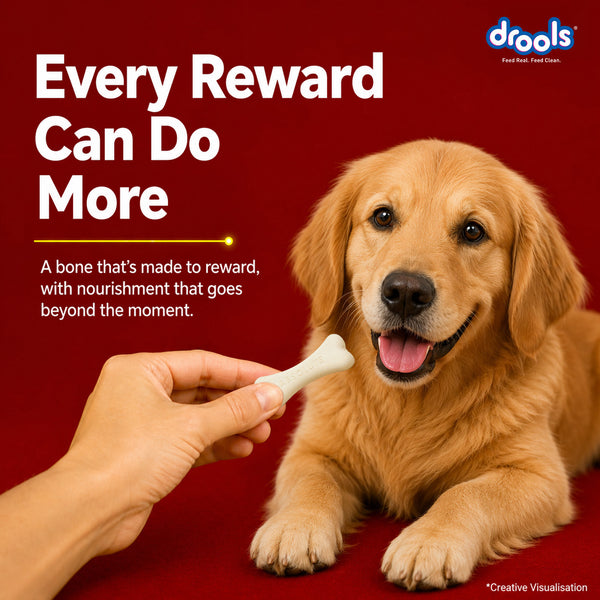Drools Absolute Calcium Bones Dog treats (Jar)