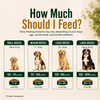 Signature Grain Zero Real Chicken, Egg and Vegetables Adult Dog Dry Food Dogs- Dry Food Signature