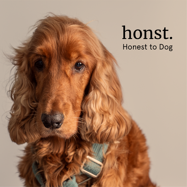 Honst 30% Omega 3 Sardine Fish Oil Supplement for Dogs