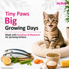 Active Ocean Fish Kitten Cat Dry Food (Buy 1 Get 1) Cats- Dry food Active