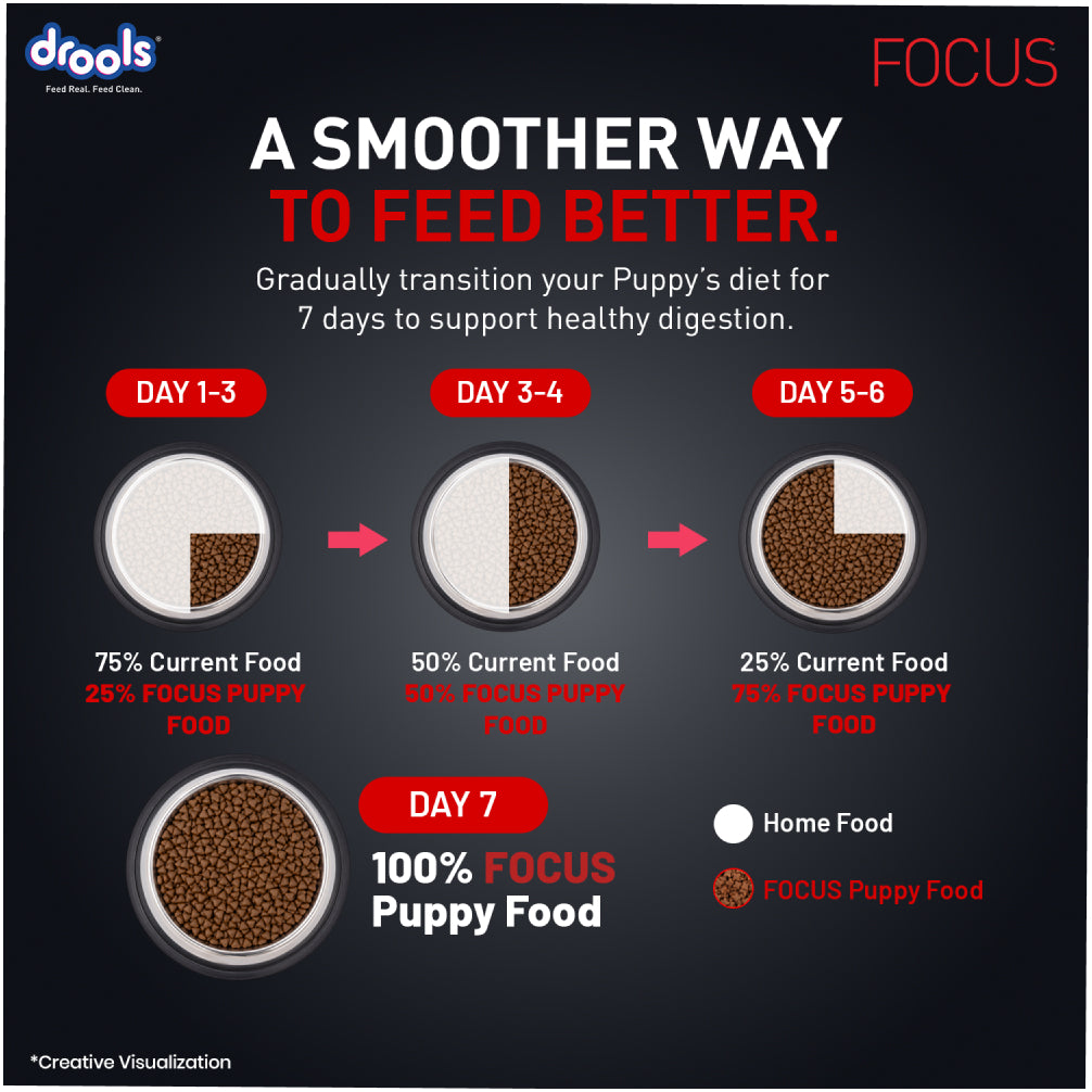 Drools Focus Super Premium Puppy Dog Dry Food | Corn & Wheat Free Formula Dogs- Dry Food Drools Focus