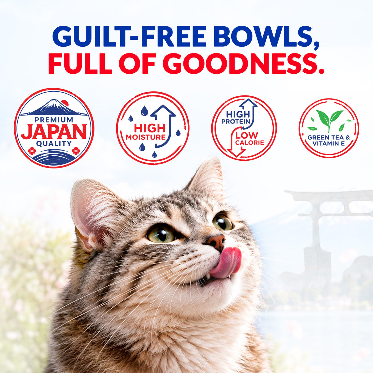 INABA Chicken Broth Chicken and Tuna Recipe Cat Wet Food Cats-Wet Food INABA