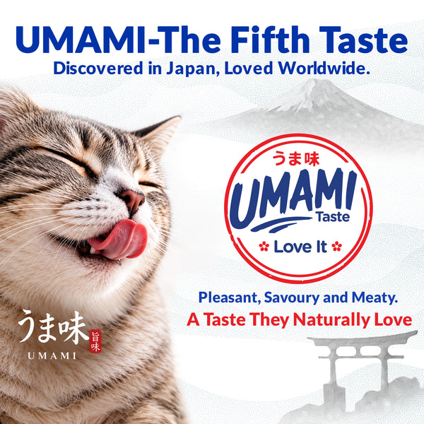 INABA Chicken Stew Chicken Recipe Cat Wet Food