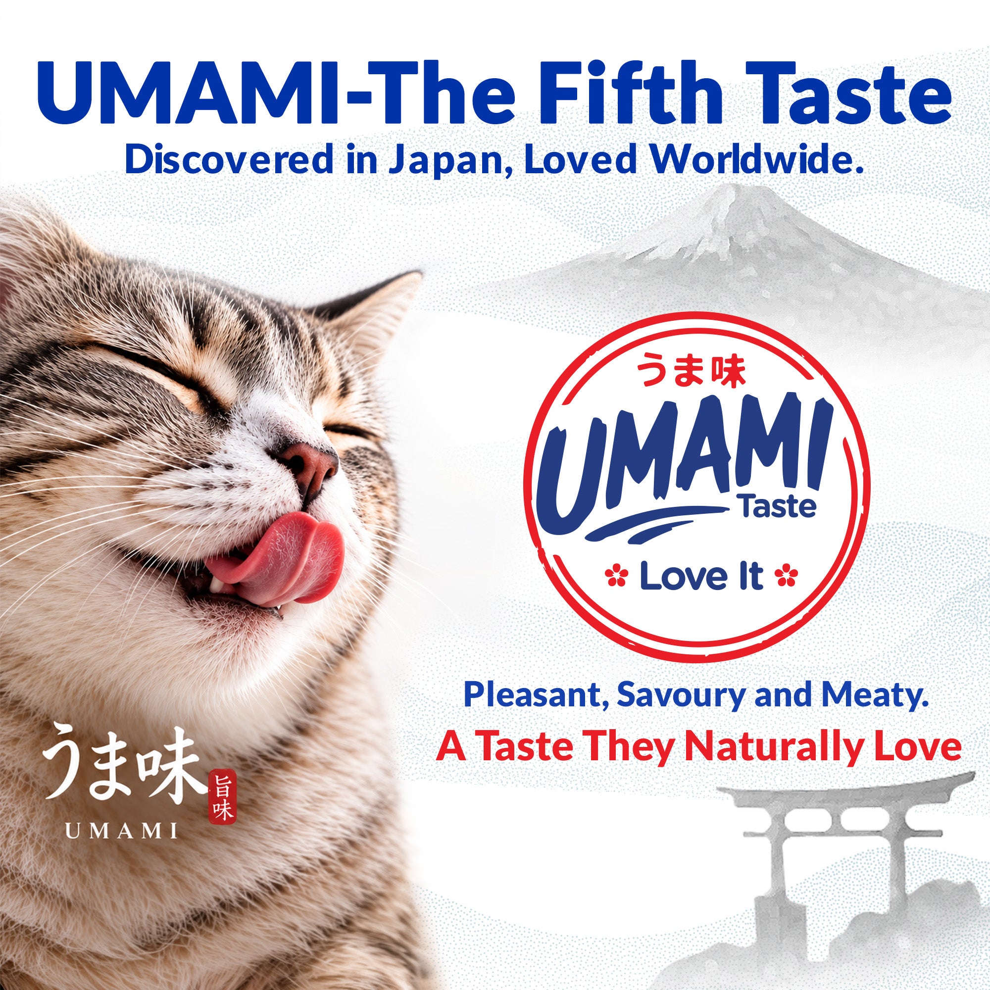 INABA Chicken Broth Chicken and Tuna Recipe Cat Wet Food Cats-Wet Food INABA