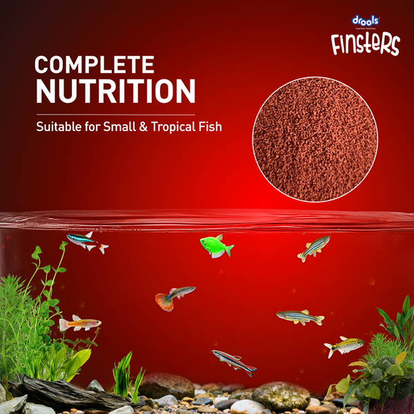 Drools Finsters Micro Bits Fish Food