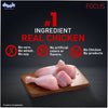 Drools Focus Super Premium Puppy Dog Dry Food | Corn & Wheat Free Formula Dogs- Dry Food Drools Focus
