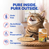 INABA Chicken Stew Chicken Recipe Cat Wet Food Cats-Wet Food INABA