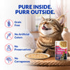 INABA Chicken Stew Chicken with Salmon Recipe Cat Wet Food Cats-Wet Food INABA
