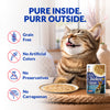INABA Chicken Stew Chicken with Tuna Recipe Cat Wet Food Cats-Wet Food INABA