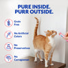 INABA Churu Tuna with Salmon Recipe Creamy Cat Treats Cats-Treats & Others INABA