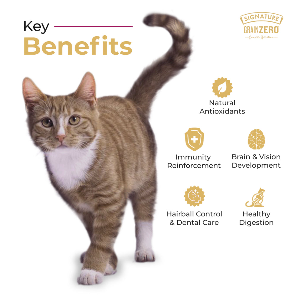 Signature Grain Zero Ocean Fish, Sardine and Mackerel Adult Cat Dry Food