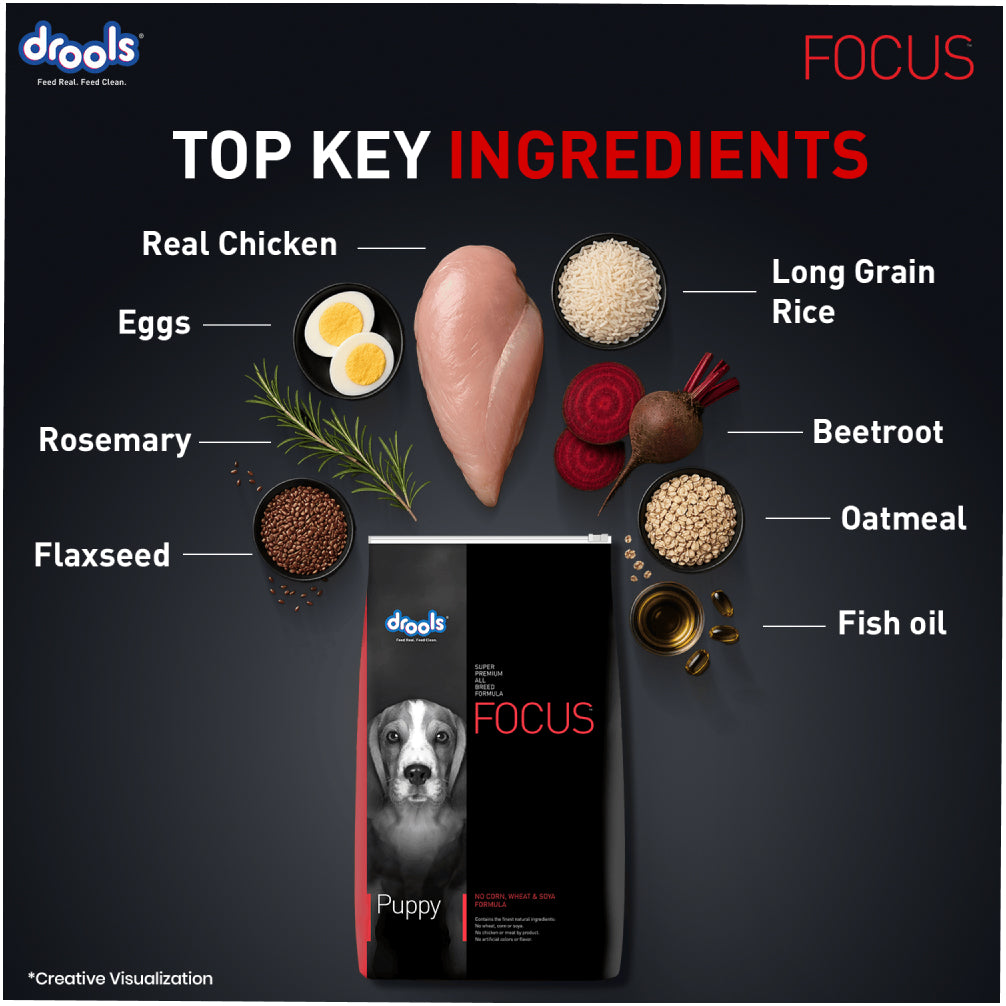 Drools Focus Super Premium Puppy Dog Dry Food | Corn & Wheat Free Formula Dogs- Dry Food Drools Focus
