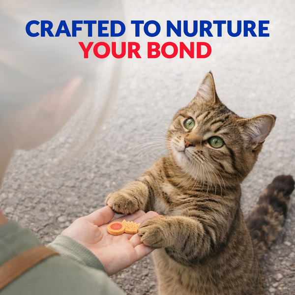INABA Juicy Bites Tuna and Chicken Flavoured Cat Treats