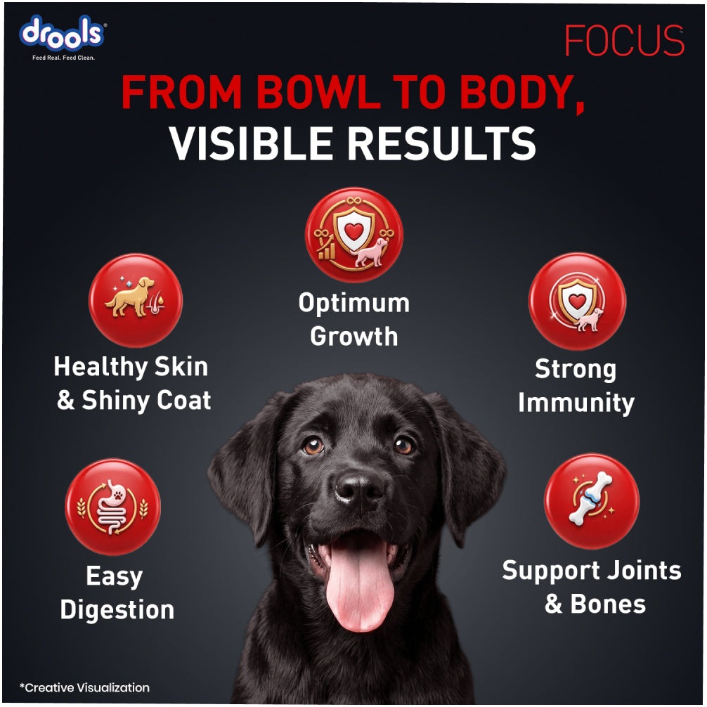 Drools Focus Super Premium Puppy Dog Dry Food | Corn & Wheat Free Formula Dogs- Dry Food Drools Focus