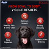 Drools Focus Super Premium Puppy Dog Dry Food | Corn & Wheat Free Formula Dogs- Dry Food Drools Focus