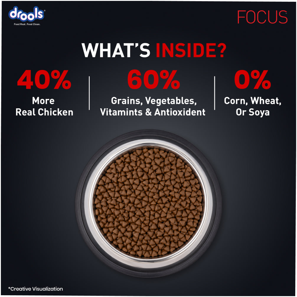 Drools Focus Super Premium Puppy Dog Dry Food | Corn & Wheat Free Formula Dogs- Dry Food Drools Focus
