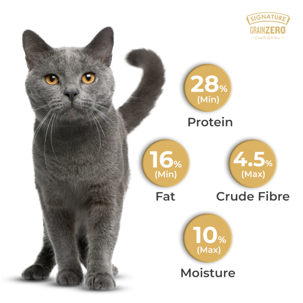 Signature Grain Zero Ocean Fish, Sardine and Mackerel Adult Cat Dry Food