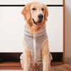 Pets Way Crazy Fur Winter Jacket for Dogs (Ash) Dogs-Clothing & Accessories Pets Way Dropship
