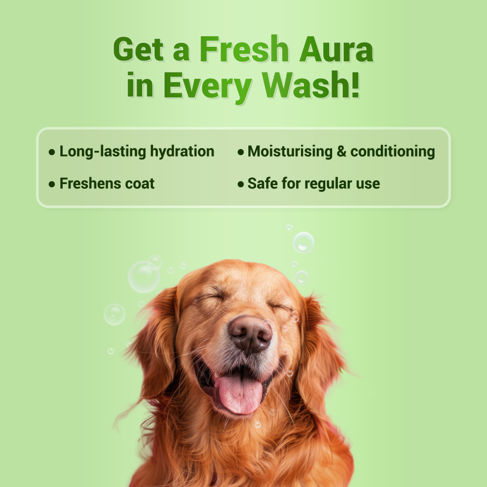 Natural Remedies Auraglow Moisturizing Shampoo for Dogs and Cats Both-Grooming Supplies Natural Remedies