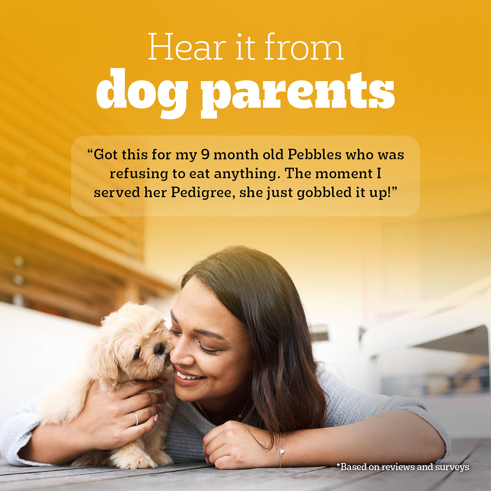 Pedigree Meat & Milk Puppy Dog Dry Food Dogs- Dry Food Pedigree
