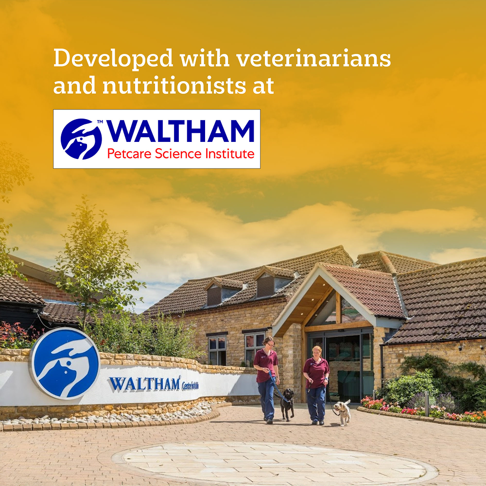 Pedigree Meat & Milk Puppy Dry Food Dogs- Dry Food Pedigree