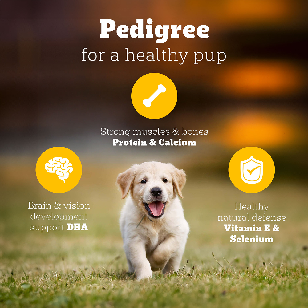 Pedigree Meat & Milk Puppy Dog Dry Food Dogs- Dry Food Pedigree