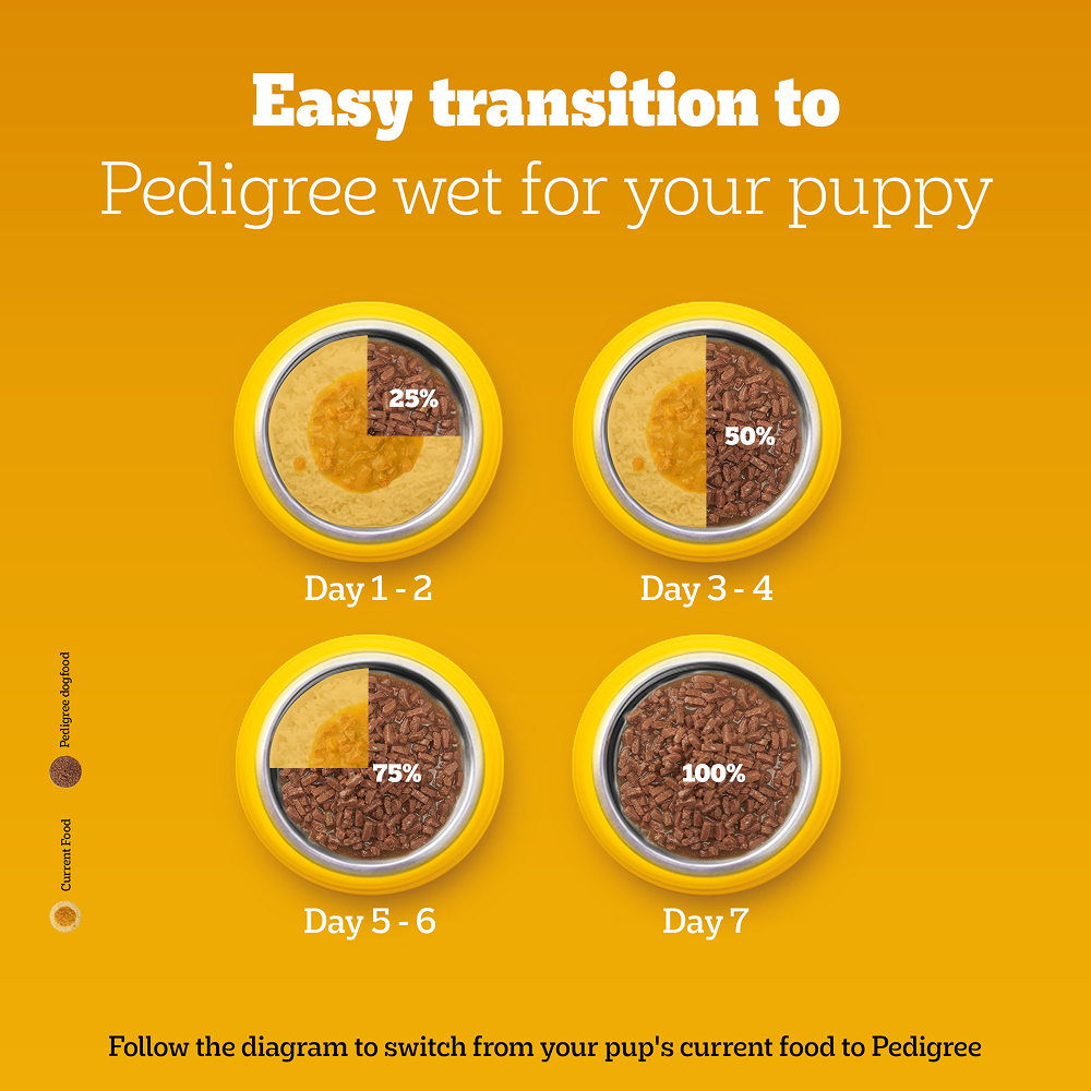 Pedigree Meat & Milk Puppy Dog Dry Food Dogs- Dry Food Pedigree