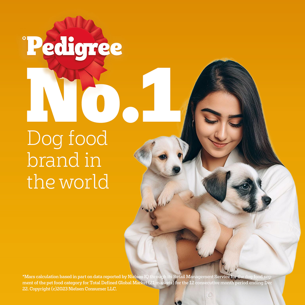 Pedigree Meat & Milk Puppy Dog Dry Food Dogs- Dry Food Pedigree