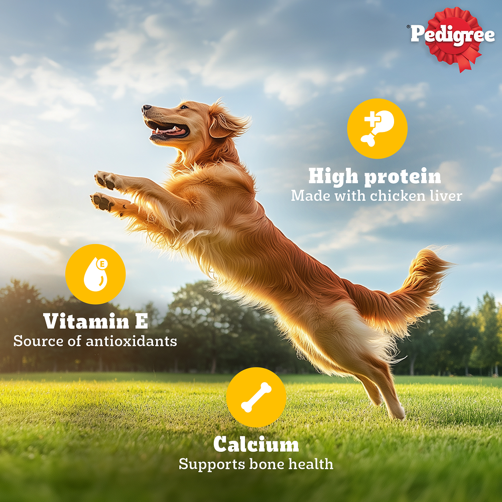 Pedigree Roasted Lamb Tasty Jerky Dog Treat Dog Treats + Others Pedigree