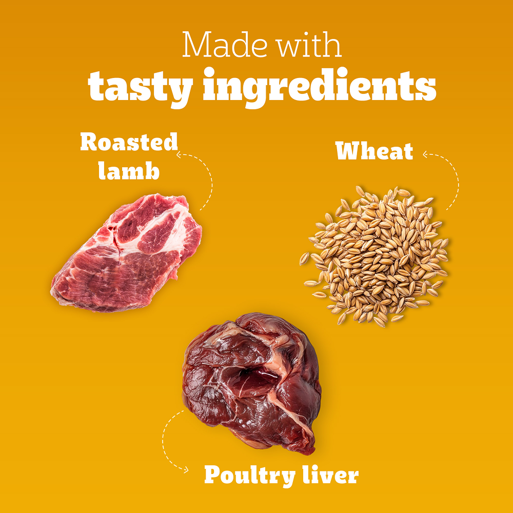 Pedigree Roasted Lamb Tasty Jerky Dog Treat Dog Treats + Others Pedigree