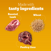 Pedigree Roasted Lamb Tasty Jerky Dog Treat Dog Treats + Others Pedigree