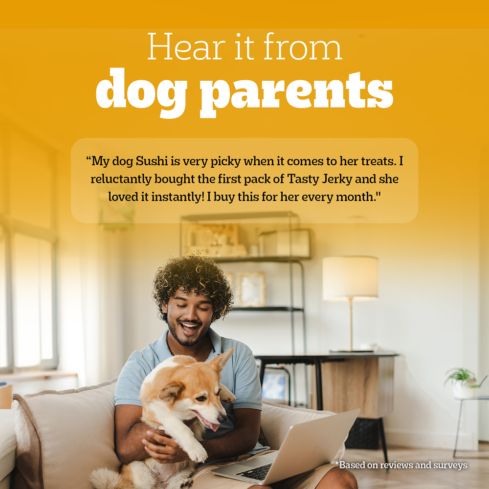 Pedigree Roasted Lamb Tasty Jerky Dog Treat Dog Treats + Others Pedigree