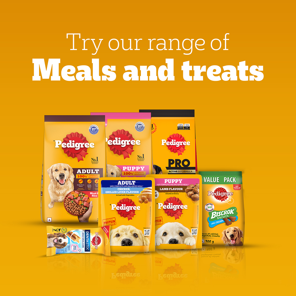 Pedigree Roasted Lamb Tasty Jerky Dog Treat Dog Treats + Others Pedigree