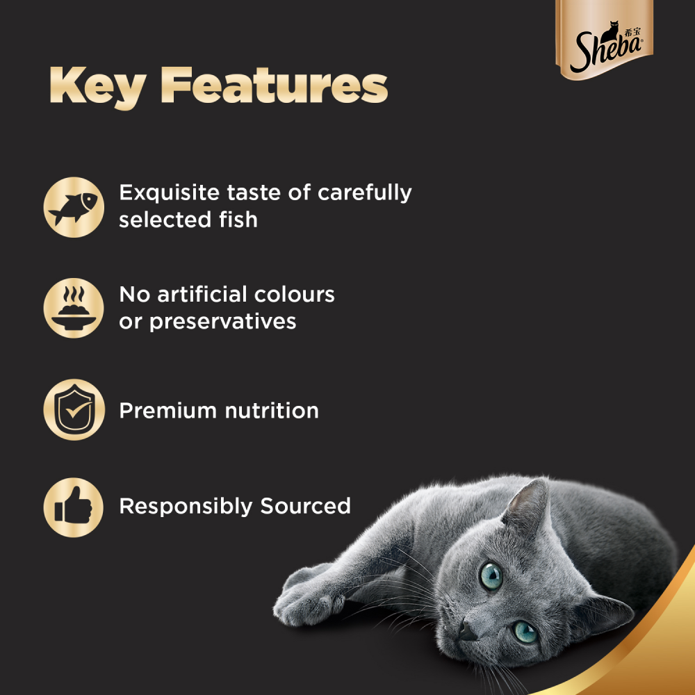 Sheba Maguro & Bream Fish Mix Premium Cat Wet Food and Salmon Flavour Irresistible All Life Stages Cat Dry Food Combo Exclusive Combo Sheba