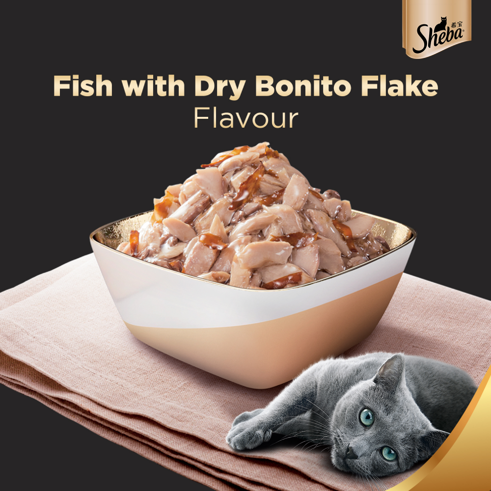 Sheba Fish with Dry Bonito Flake Premium Cat Wet Food and Chicken Flavour Irresistible All Life Stage Cat Dry Food Combo Exclusive Combo Sheba