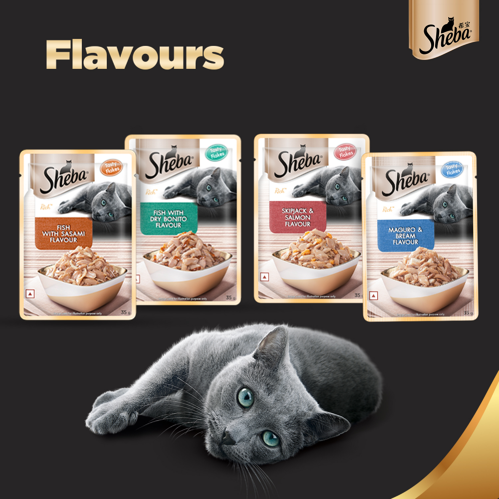 Sheba Maguro & Bream Fish Mix Premium Cat Wet Food and Salmon Flavour Irresistible All Life Stages Cat Dry Food Combo Exclusive Combo Sheba