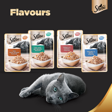 Sheba Fish with Sasami Premium Cat Wet Food