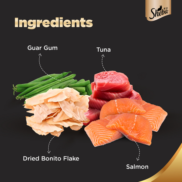 Sheba Skipjack & Salmon Fish Mix Cat Wet Food and Salmon Flavour Irresistible All Life Stages Cat Dry Food Combo