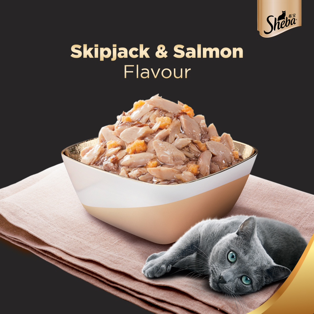 Sheba Skipjack & Salmon Fish Mix Cat Wet Food and Salmon Flavour Irresistible All Life Stages Cat Dry Food Combo Exclusive Combo Sheba