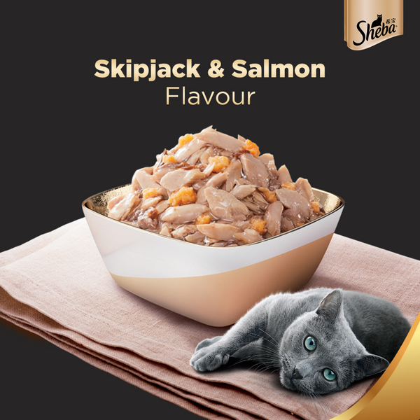 Sheba Skipjack & Salmon Fish Mix Cat Wet Food and Salmon Flavour Irresistible All Life Stages Cat Dry Food Combo