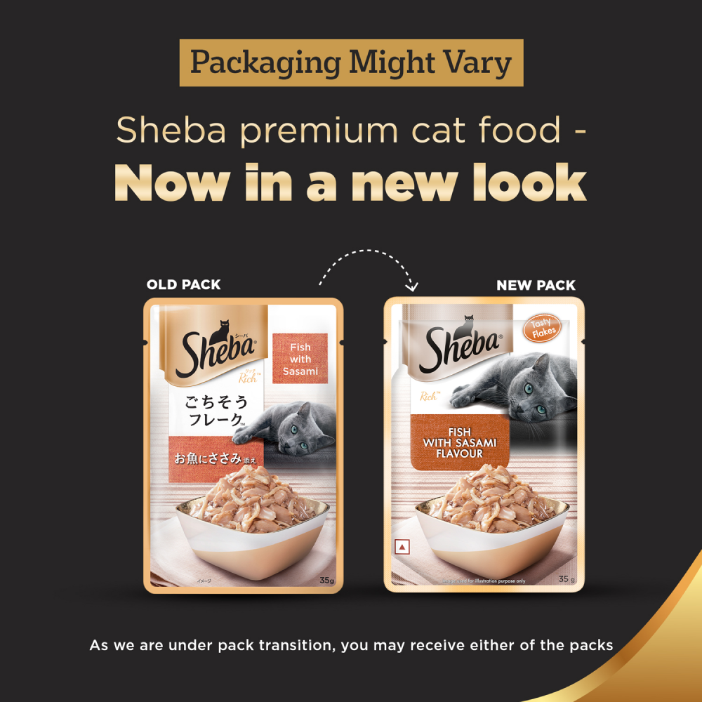 Sheba Fish with Sasami Premium Cat Wet Food and Salmon Flavour Irresistible All Life Stages Cat Dry Food Combo Exclusive Combo Sheba