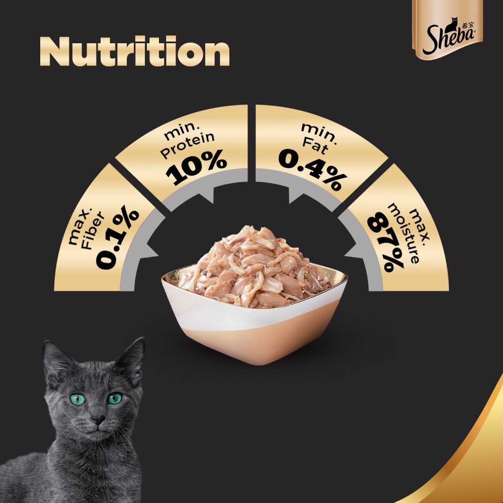 Sheba Fish with Sasami Premium Cat Wet Food and Salmon Flavour Irresistible All Life Stages Cat Dry Food Combo Exclusive Combo Sheba