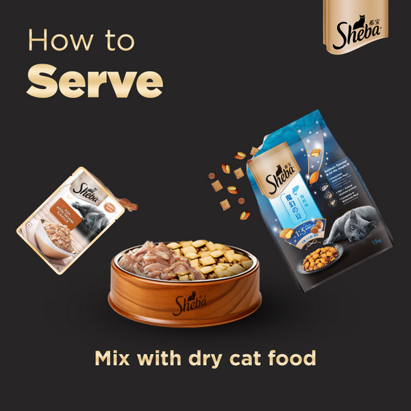 Sheba Fish with Sasami Premium Cat Wet Food and Salmon Flavour Irresistible All Life Stages Cat Dry Food Combo