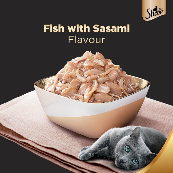 Sheba Fish with Sasami Premium Cat Wet Food and Salmon Flavour Irresistible All Life Stages Cat Dry Food Combo