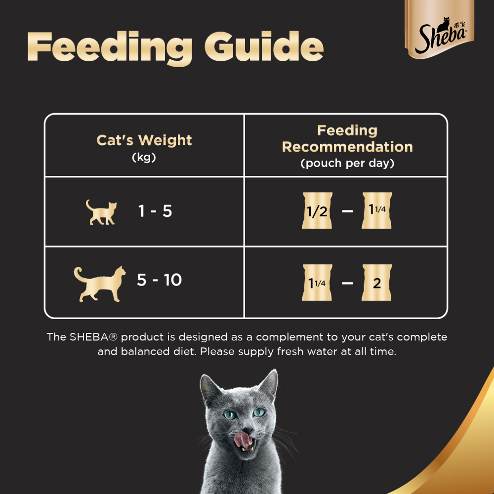 Sheba Maguro & Bream Fish Mix Premium Cat Wet Food and Salmon Flavour Irresistible All Life Stages Cat Dry Food Combo Exclusive Combo Sheba