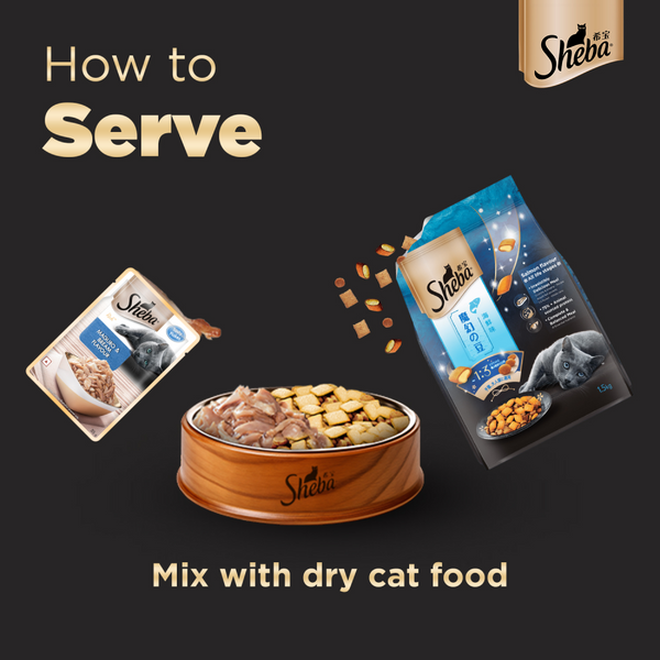 Sheba Maguro & Bream Fish Mix Premium Cat Wet Food and Salmon Flavour Irresistible All Life Stages Cat Dry Food Combo