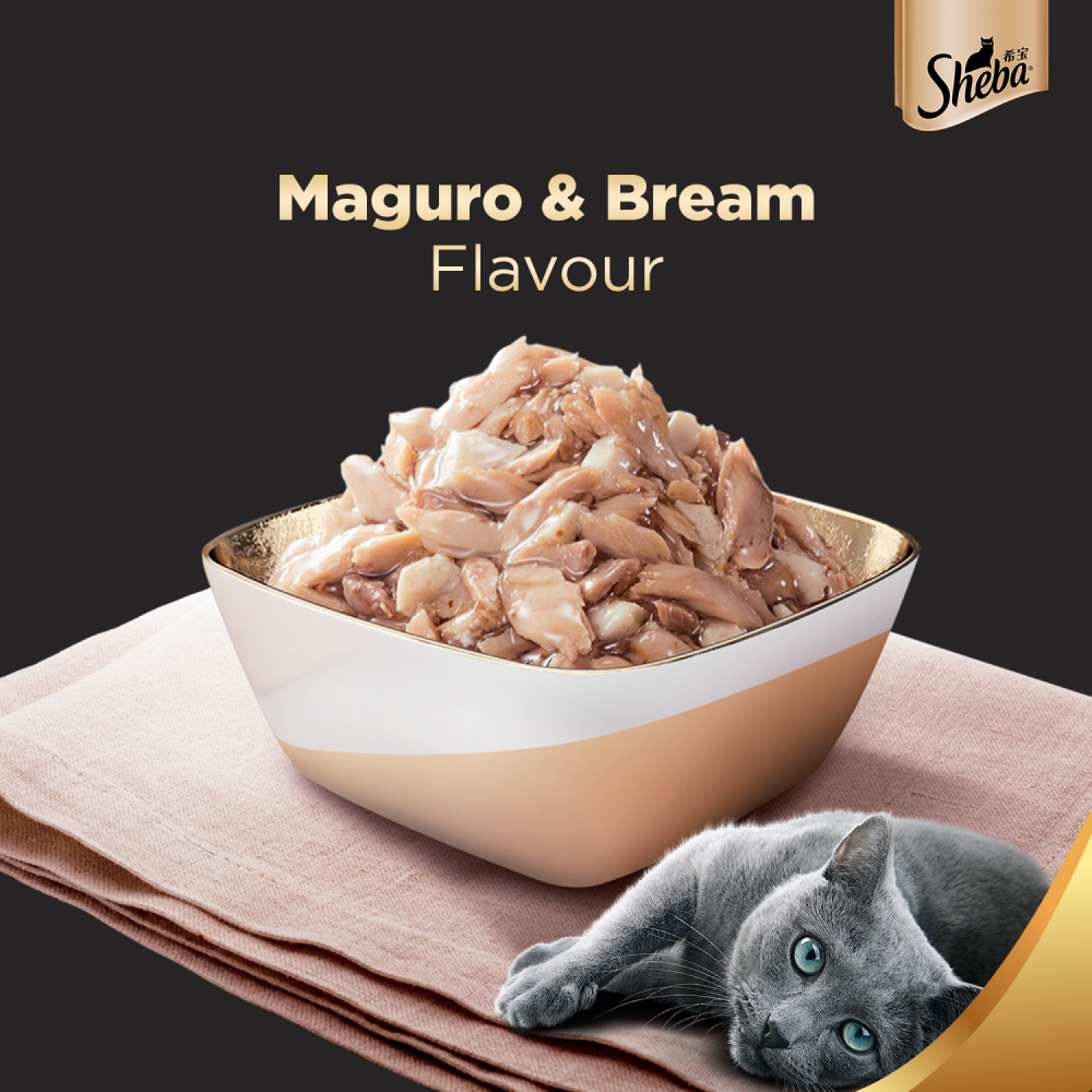 Sheba Maguro & Bream Fish Mix Premium Cat Wet Food and Salmon Flavour Irresistible All Life Stages Cat Dry Food Combo Exclusive Combo Sheba
