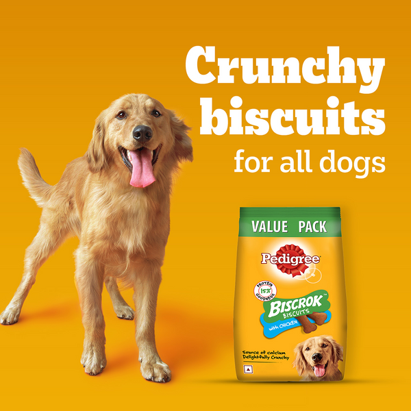 Pedigree Chicken Flavour Biscrok Biscuits Dog Treats (900g)